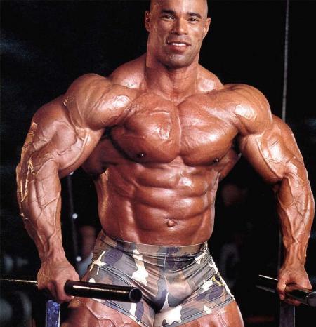 musclé + .........................
